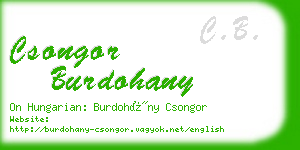 csongor burdohany business card